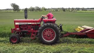 IH 856 cutting alfalfa w NH 489 Haybine [upl. by Linzer745]