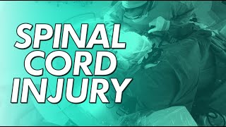 Spinal Cord Injury  diagnosis treatment recovery [upl. by Niwdla891]