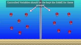 Variables in Science Independent Dependent and Controlled [upl. by Jaala740]