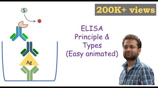 ELISA Enzymelinked Immunosorbent Assay [upl. by Torrell404]