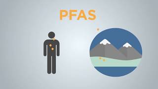 What are PFAS compounds and how can they affect human health  AKPM News [upl. by Ettenyl919]