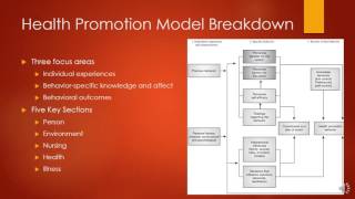 Nola Pender Health Promotion Model [upl. by Esidarap608]