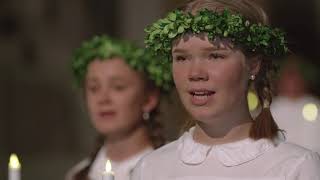 Swedish Lucia Celebration – online concert [upl. by Ciapas]