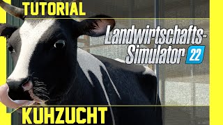 LS 22 Kühe Tutorial Kurz leicht und verständlich erklärt [upl. by Anrahs]