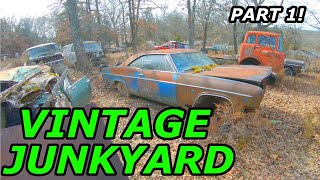 Private 1950s 1960s 1970s Classic Car Junkyard Walkthrough  Junkyard Tour Part 1 [upl. by Constancia19]