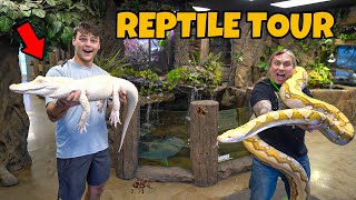 CAGE BY CAGE EXOTIC REPTILE STORE TOUR insane [upl. by Brenden566]