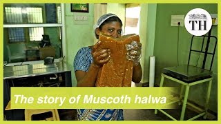 The story of Muscoth halwa [upl. by Rama699]