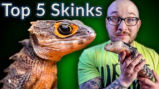 Top 5 BEST Pet Skinks  Potato Parade [upl. by Sucramal]