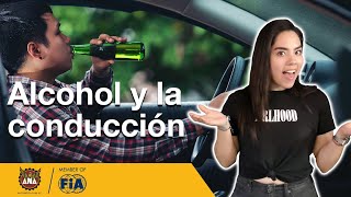 Efectos del alcohol al conducir  Prevención [upl. by Aleel]