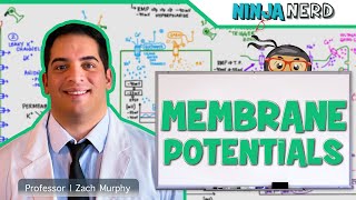 Neurology  Resting Membrane Graded Action Potentials [upl. by Ardnasal]