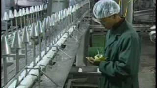 US Poultry Quality Control and Food Safety [upl. by Arikat]