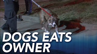 Family members find dogs eating owners body inside Philadelphia home [upl. by Oeniri872]