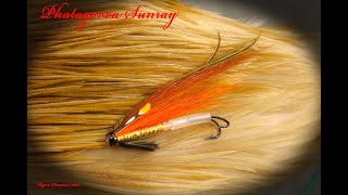 FLY TYING THE PHATAGORVA SUNRAY SALMON FLY WITH RYAN HOUSTON [upl. by Vinita296]