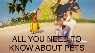 PvP Tips and Sword Guide Basic amp Advanced  Sea of Thieves [upl. by Milburr]