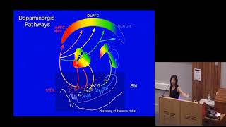 The paradoxes of dopamine dysfunction in schizophrenia [upl. by Lupee941]