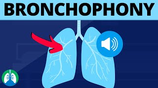 Bronchophony Medical Definition  Quick Explainer Video [upl. by Etnomal]