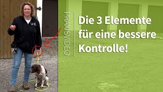 Hundetraining ►Die 3 Elemente um deinen Hund besser zu kontrollieren ► Praxisvideo [upl. by Briano]