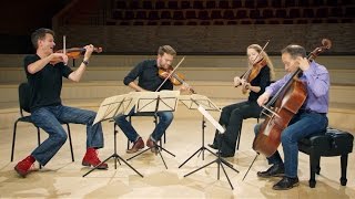 HAYDN String Quartet in G minor Op 20 no 3 1 Allegro con spirito by St Lawrence String Quartet [upl. by Kajdan]