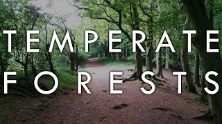 The Temperate Forest Biome  Biomes6 [upl. by Igiul]