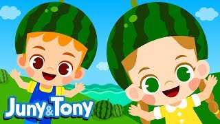 Down by the Bay  Where the Watermelons Grow🍉  Nursery Rhymes for Kids  JunyampTony [upl. by Bikales]