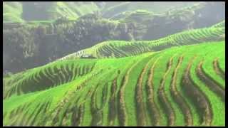 Longji Rice Terraces  Guangxi China [upl. by Franz]