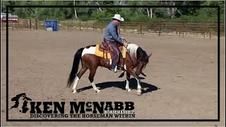 Ken McNabb Emotional Control  How to Calm the Anxious High Headed Horse Through Head Elevation [upl. by Eltsryk]