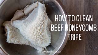 How To Clean Beef Honeycomb Tripe Babat [upl. by Fenner]