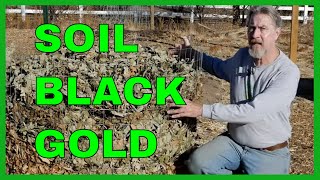 How to Make Leaf Mold 3 Methods [upl. by Symon]