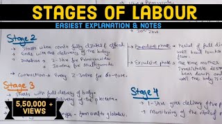 Stages of Labour  Labour  Easily explained  Hindi [upl. by Edgardo]