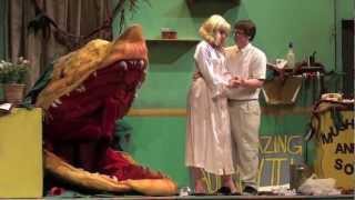 Little Shop of Horrors  Frontier High School [upl. by Farrel]