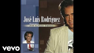 José Luis Rodríguez  Los Amigos Audio [upl. by Bonita864]