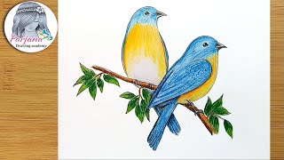 How to draw Eastern Bluebirds step by step [upl. by Davida]