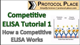 Competitive ELISA Tutorial 1 How a Competitive ELISA Works [upl. by Skiest720]