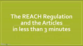 The EU REACH Regulation and the Articles [upl. by Elonore]