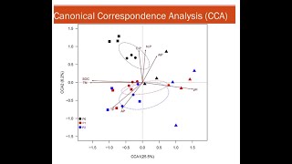 canonical correspondence analysis  CCA Past Software [upl. by Olihs]