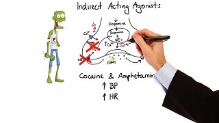 Pharmacology  ADRENERGIC RECEPTORS amp AGONISTS MADE EASY [upl. by Bowen654]