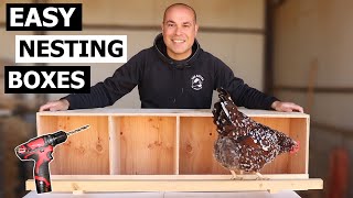 Nesting Boxes for Chickens  How to Build Chicken Nest Boxes [upl. by Iram]