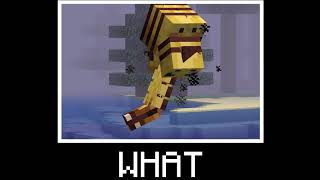 minecraft what spyglass meme [upl. by Lenes]