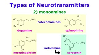 Neurotransmitters Type Structure and Function [upl. by Matta]