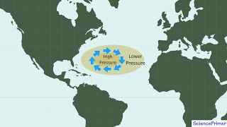 Ocean Gyres and Geostrophic Flow [upl. by Niltiak997]