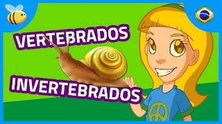 Animais Vertebrados e Invertebrados parte 1  Vídeos Educativos para Crianças [upl. by Icram]