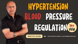 Cardiovascular  Blood Pressure Regulation  Hypotension [upl. by Obadias]