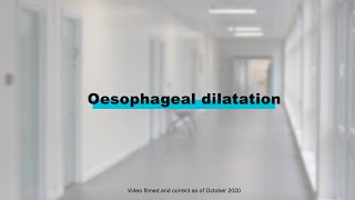 Endoscopy Procedures  Oesophageal Dilatation [upl. by Atile775]