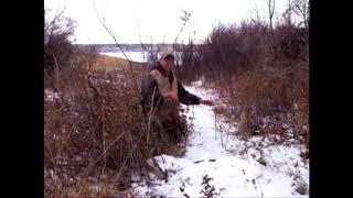 Winter Coyote Snaring [upl. by Ecyak]