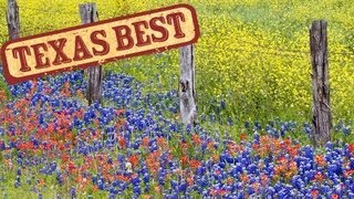 Texas Best  Wildflowers Texas Country Reporter [upl. by Leahciam]