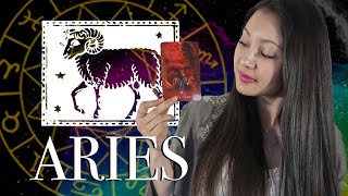 Zodiac Signs Explained by Experts [upl. by Ennayk111]