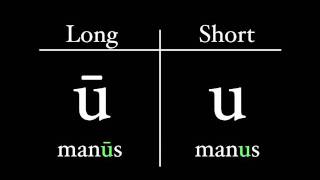 The Latin Alphabet  Vowel Pronunciation [upl. by Orgalim]