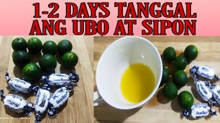 Mabisang Gamot sa Ubot Sipon  12 days tanggal ang iyong sakit [upl. by Ysteb]