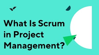 What Is Scrum in Project Management [upl. by Noonberg]