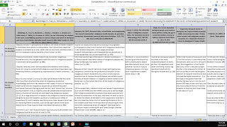 How to Create a Literature Matrix Excel [upl. by Melania]